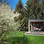 Arthouse Pelnik * Łukta