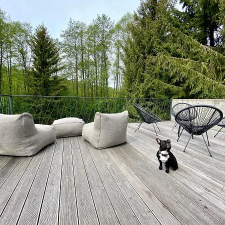 Arthouse Pelnik
