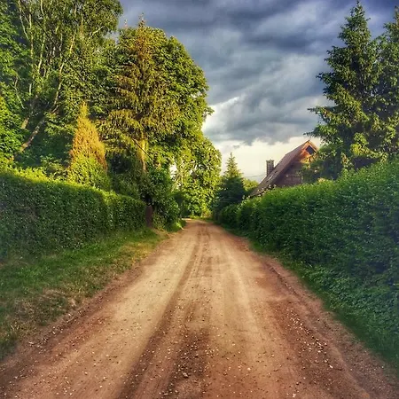 Arthouse Pelnik Łukta