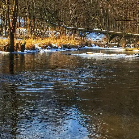 Hébergement de vacances Arthouse Pelnik