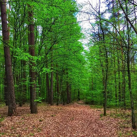 Hébergement de vacances Arthouse Pelnik
